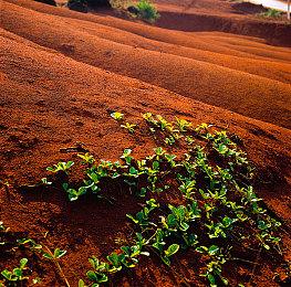 Nexon针对《Dark and Darker》初步禁令被驳回